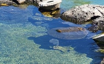 Florida Oceanographic Coastal Center