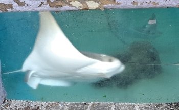 Florida Oceanographic Coastal Center