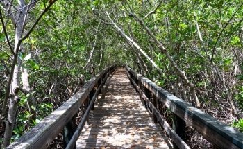 Florida Oceanographic Coastal Center