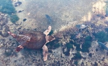 Florida Oceanographic Coastal Center