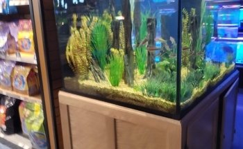 Aquatics Unlimited