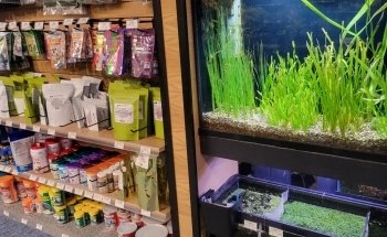 Aquatics Unlimited
