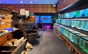 Aquatics Unlimited