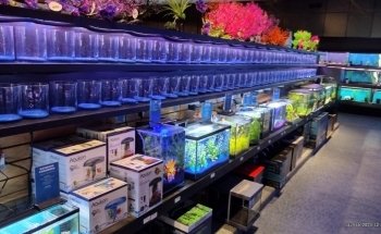 Aquatics Unlimited