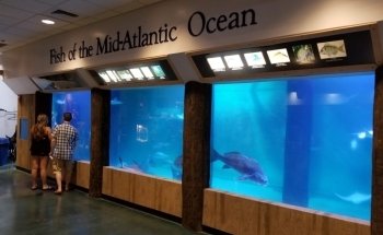 Acuario de Atlantic City