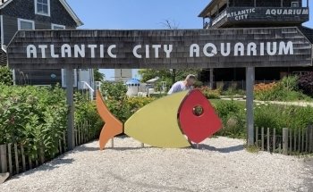 Atlantic City Aquarium