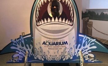 Atlantic City Aquarium