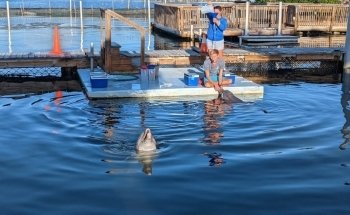 Dolphin Research Center