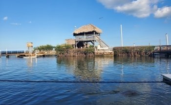 Dolphin Research Center