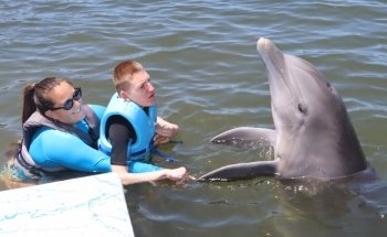 Dolphin Research Center