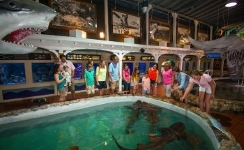 Key West Aquarium