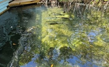Key West Aquarium