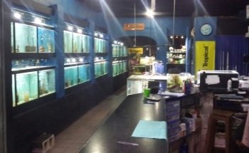 Atlantis Aquarium