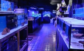 Acuario Atlántida