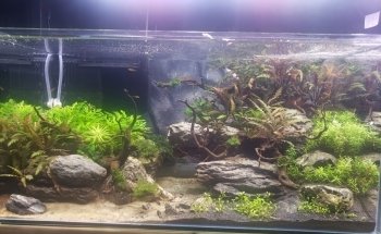 Acuario Atlántida