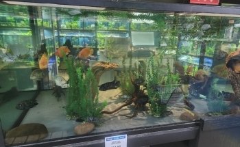 The Reef Aquarium Shop