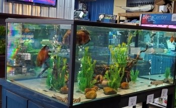 The Reef Aquarium Shop