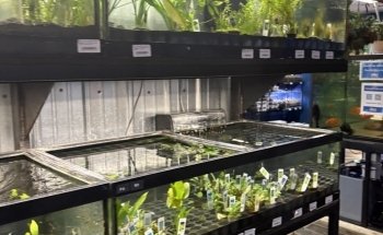 The Reef Aquarium Shop