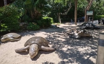 Gumbo Limbo Nature Center