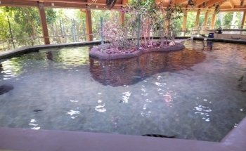 Gumbo Limbo Nature Center