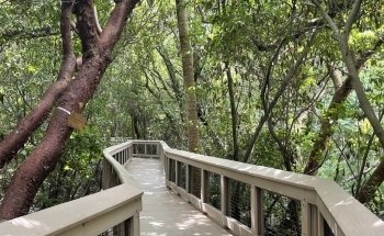 Gumbo Limbo Nature Center