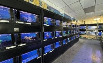 Elmer's Aquarium