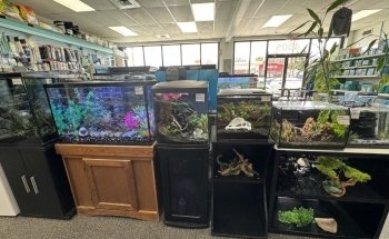 Elmer's Aquarium