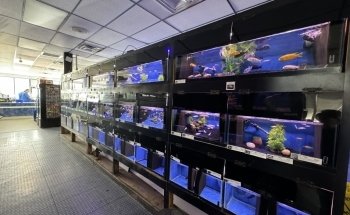 Elmer's Aquarium