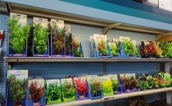 Elmer's Aquarium
