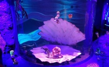 SEA LIFE New Jersey Aquarium