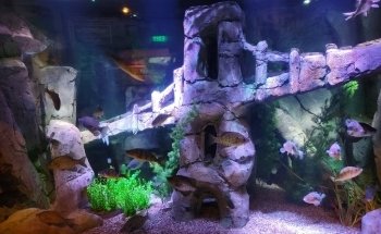 SEA LIFE New Jersey Aquarium