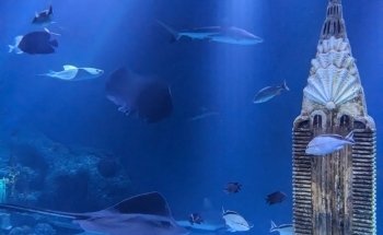 SEA LIFE New Jersey Aquarium