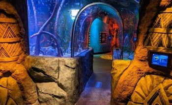 SEA LIFE New Jersey Aquarium