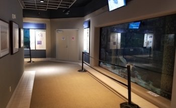 Sea Center Texas