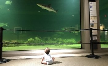 Sea Center Texas