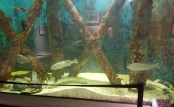 Sea Center Texas