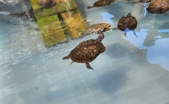 Medicine Park Aquarium and Natural Sciences Center