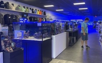 World Wide Corals