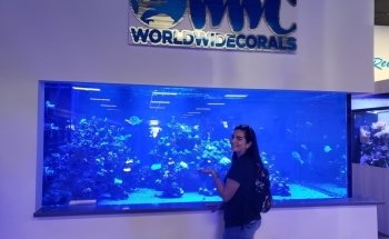 World Wide Corals
