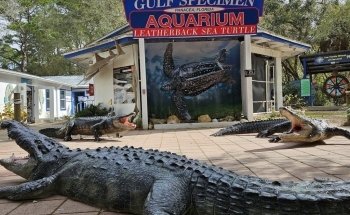 Gulf Specimen Aquarium