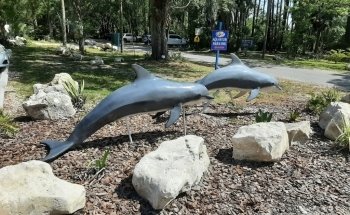 Gulf Specimen Aquarium