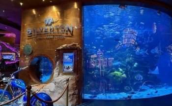 The Aquarium at Silverton Casino