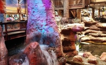 The Aquarium at Silverton Casino