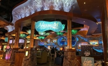 The Aquarium at Silverton Casino