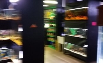 Blue Fish Aquarium