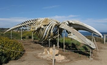 Seymour Marine Discovery Center