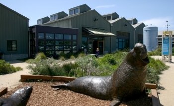 Seymour Marine Discovery Center