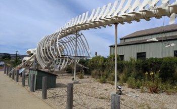 Seymour Marine Discovery Center