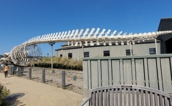 Seymour Marine Discovery Center