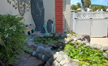 Manatee Center